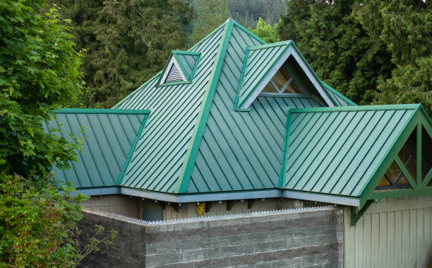 Best Skylight Installation and Repair  in Theresa, WI