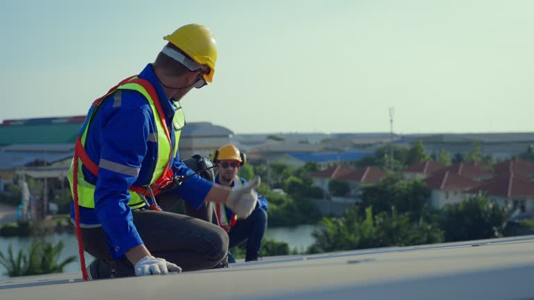 Best Roof Coating and Sealing  in Theresa, WI