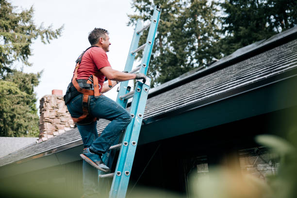 Best Rubber Roofing (EPDM, TPO)  in Theresa, WI